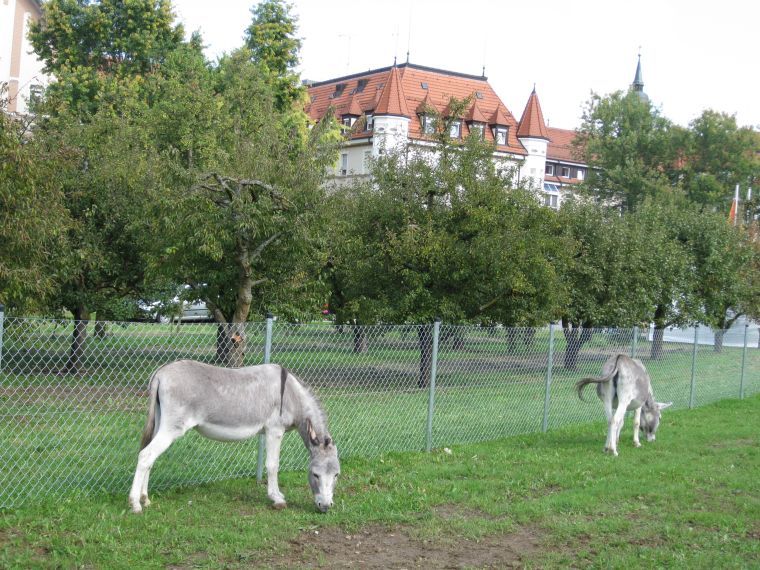 Einweihung Generationenaktivpark Garten Eden 2014